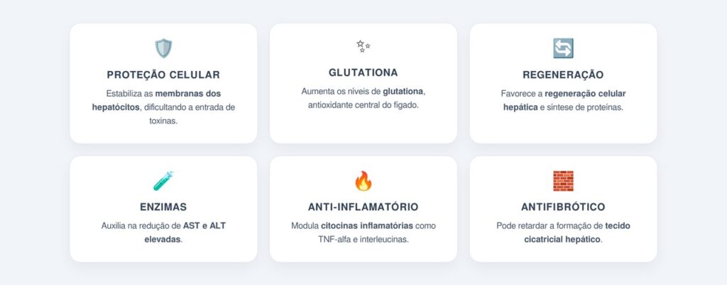 Quais são os principais benefícios da silimarina para o fígado?