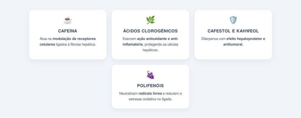 Quais compostos do café protegem o fígado?