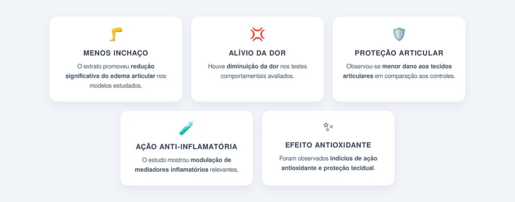 Quais efeitos foram observados nos testes?