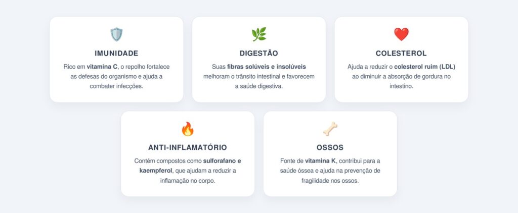 Principais benefícios do repolho para a saúde