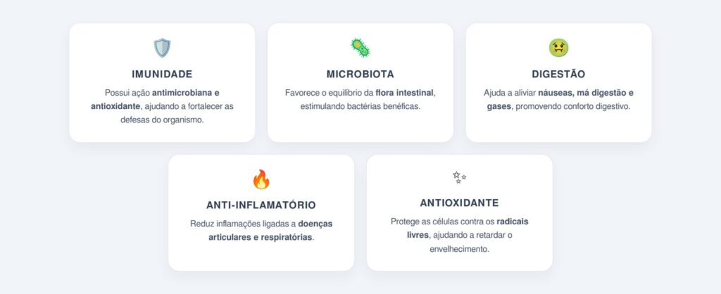 Principais benefícios do gengibre e formas de consumo