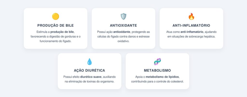 Quais são os principais benefícios da planta para o fígado?
