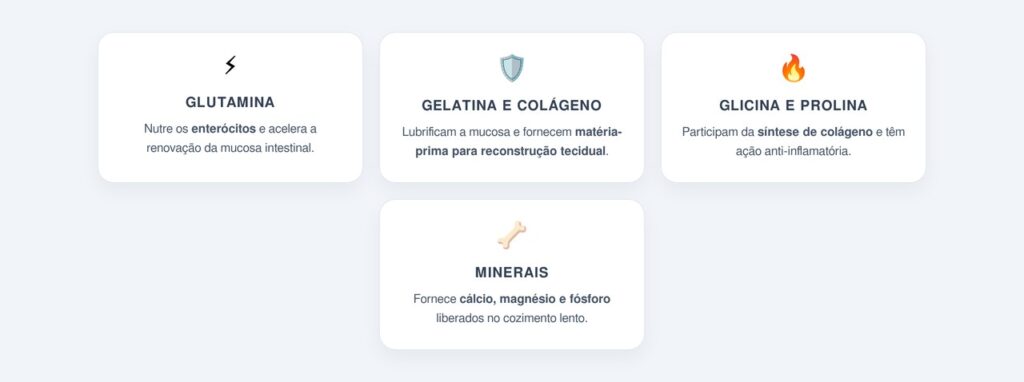 Por que o caldo de ossos favorece a cicatrização do intestino?