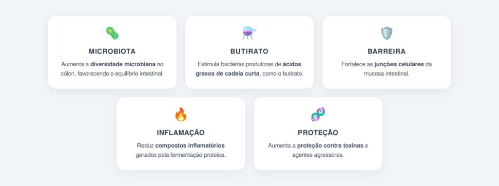 Como ele reduz a permeabilidade intestinal?