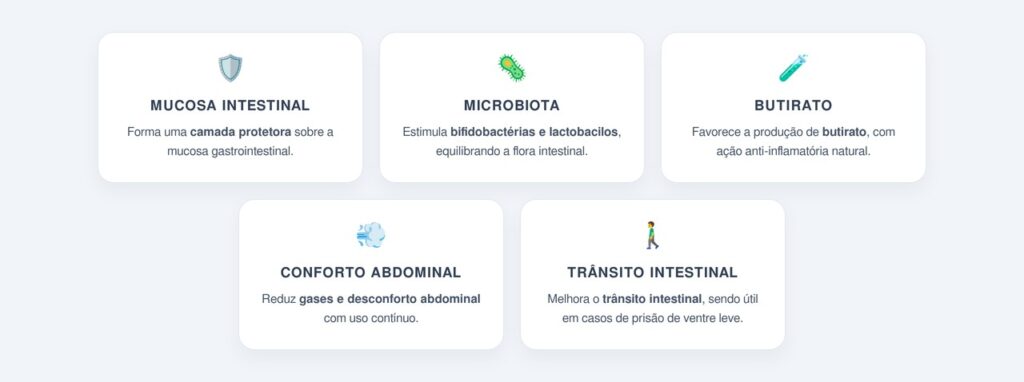 Quais são os benefícios para a saúde intestinal?
