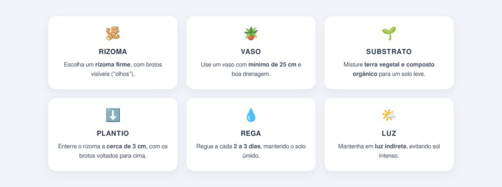 Como plantar e colher o gengibre em casa?
