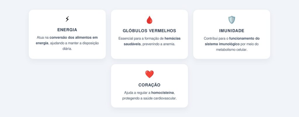 O papel da B12 no metabolismo energético