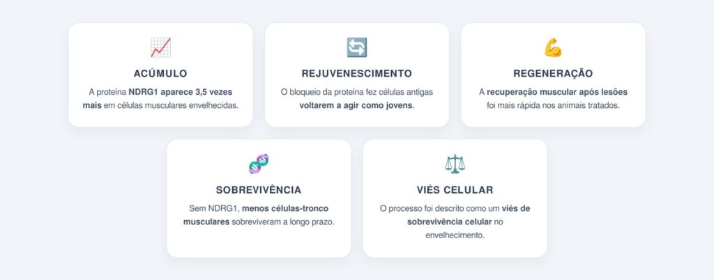 Quais foram as principais descobertas do estudo?