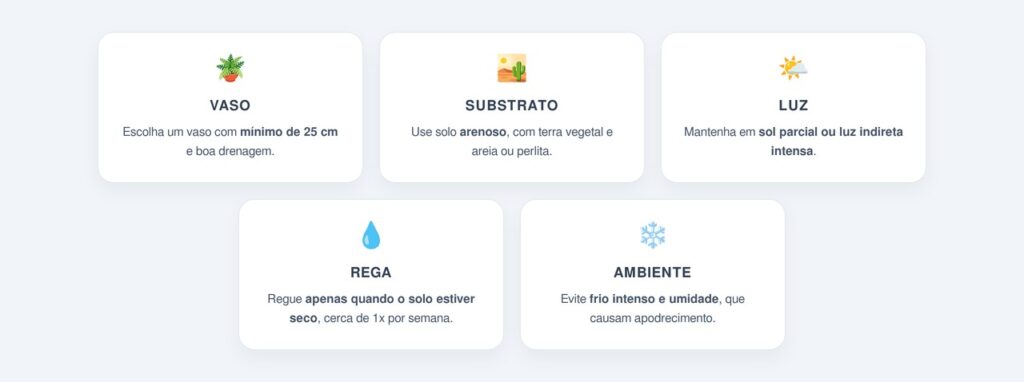 Como cultivar a babosa em casa?
