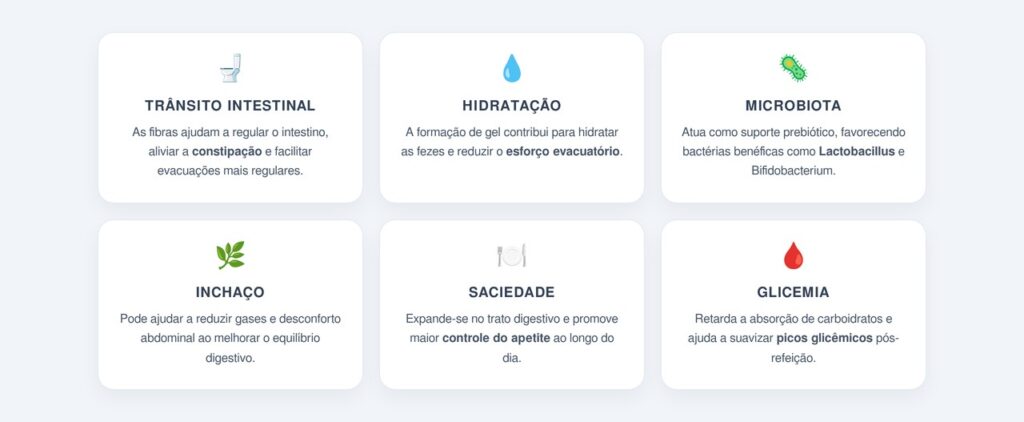 Quais são os principais benefícios da chia para a digestão?