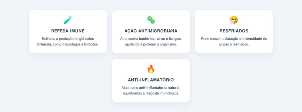 Quais são os principais benefícios do alho para a imunidade?