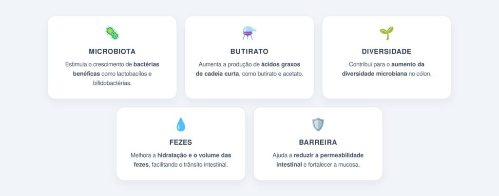 Como ela alimenta a microbiota intestinal?