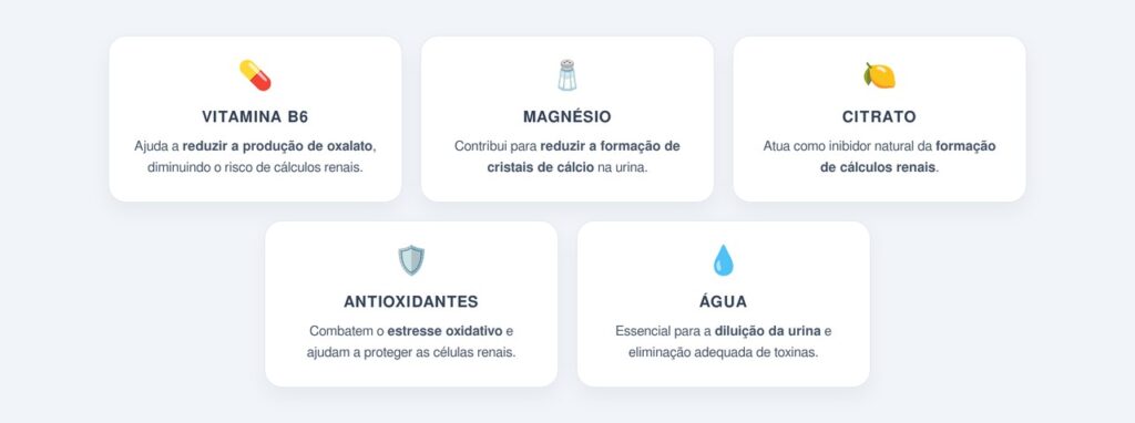 Quais são os principais nutrientes que protegem os rins?