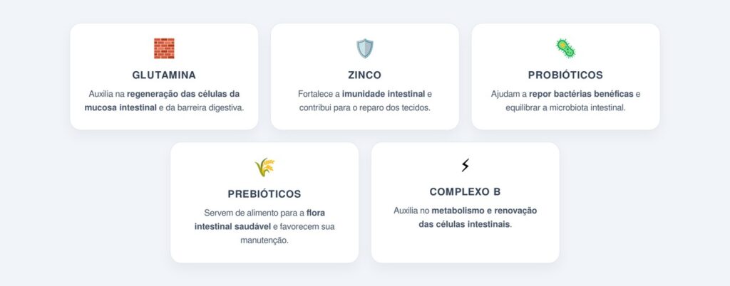 Quais são os principais nutrientes para restaurar o intestino?