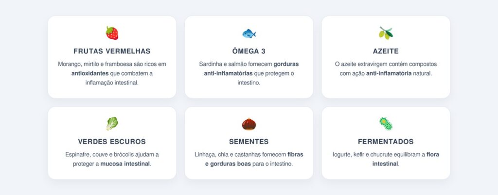 Quais alimentos ajudam a desinflamar o intestino?