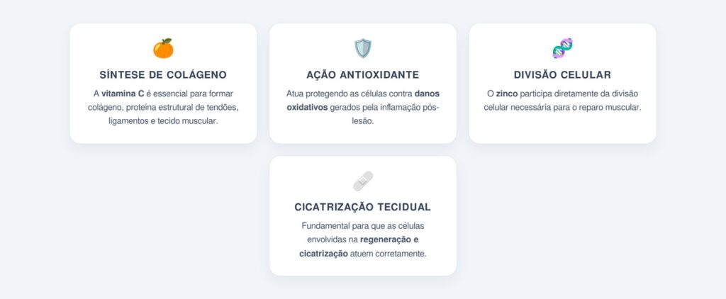 Por que a vitamina C e o zinco são essenciais nesse processo?