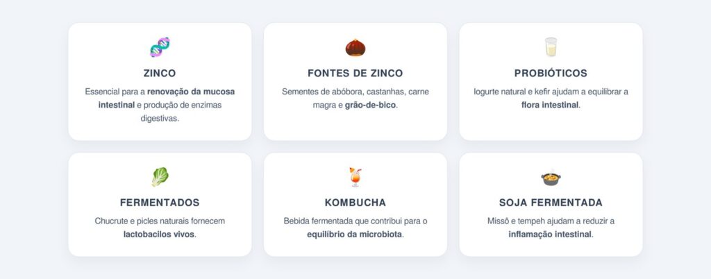 O papel do zinco e dos alimentos fermentados