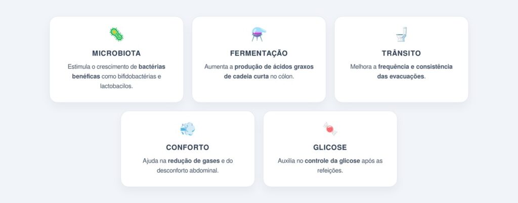 Como a yacon melhora a digestão lenta?