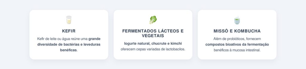 Como os probióticos dos alimentos fermentados protegem a mucosa intestinal?