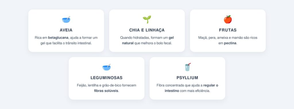 O papel das fibras solúveis no dia a dia