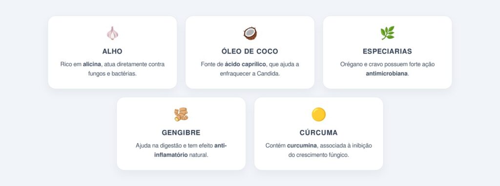 Antifúngicos naturais que ajudam no equilíbrio