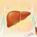 Doenças no fígado evoluem sem dor intensa e começam com sintomas sutis que muita gente ignora