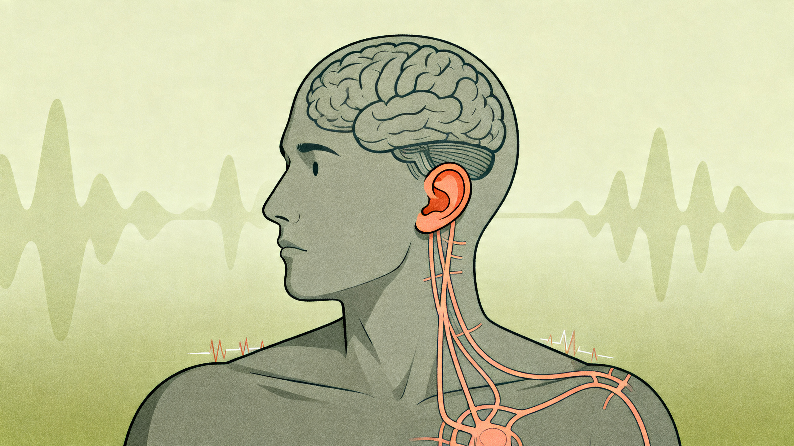 Estudo sugere base genética compartilhada entre misofonia, ansiedade e depressão.