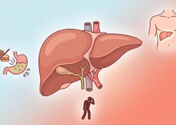 Fígado inchado: 5 sinais silenciosos que aparecem antes de qualquer exame acusar
