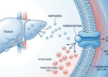 A falta de ferro não se deve apenas à pouca carne na dieta, mas sim à inflamação intestinal que bloqueia sua absorção