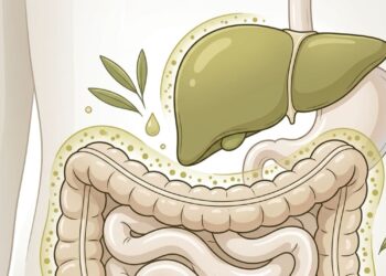 Azeite de oliva extravirgem: um remédio natural para a inflamação intestinal e o fígado sobrecarregado