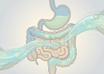 Quiabo cozido: um remédio natural para o açúcar elevado no sangue