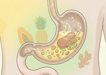 Que alimentos ajudam o estômago a digerir melhor e evitam aquela sensação de peso após comer