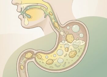 O inchaço abdominal não se deve apenas ao que se come, mas sim à velocidade com que se come, que altera a produção de enzimas digestivas