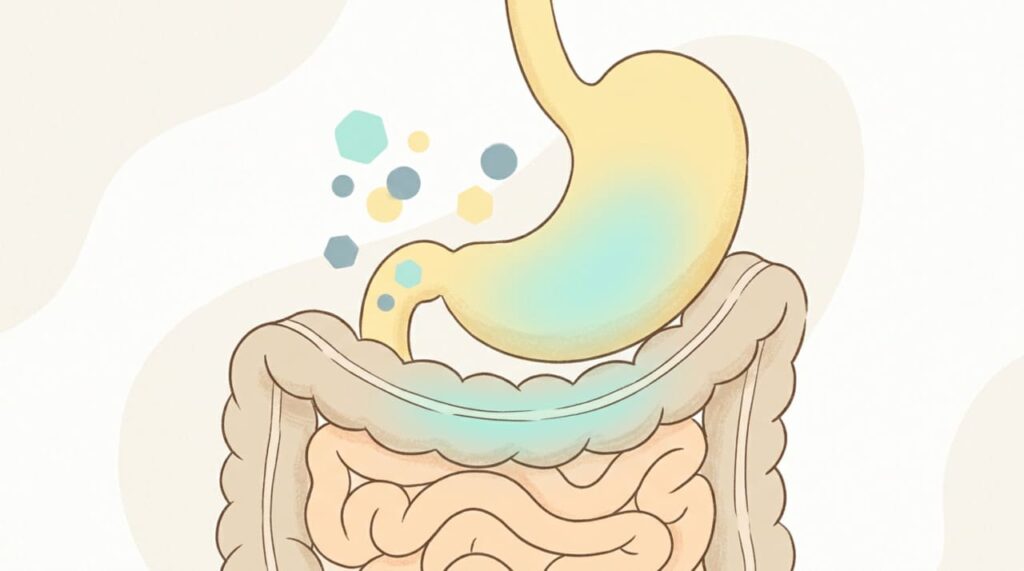 Como diferenciar intolerância alimentar de alergia: o que observar nos sintomas e o que fazer, segundo especialistas