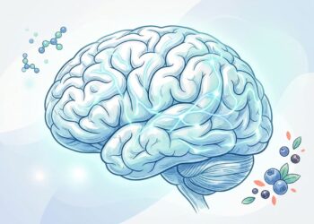 Cinco dicas: como se alimentar para manter o cérebro saudável e retardar o declínio cognitivo