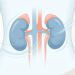 Saúde dos rins no dia a dia: estratégias de 5 especialistas para proteger a função renal e evitar complicações