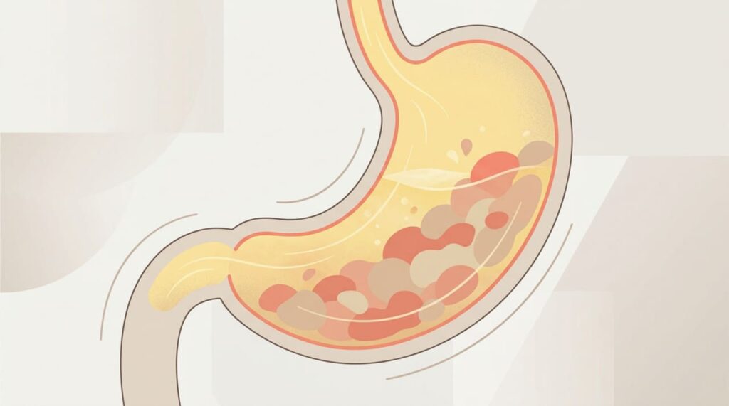 Beber água durante ou fora das refeições: o que os especialistas recomendam para melhorar a digestão