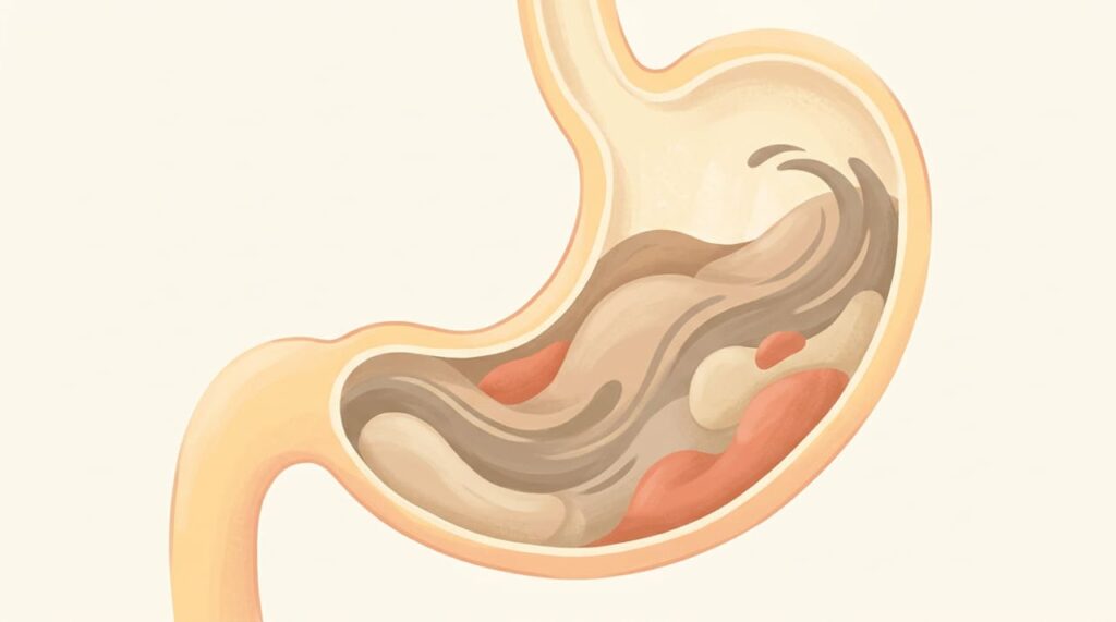 Tomar café com ou sem leite: o que os especialistas recomendam para proteger o estômago e evitar o refluxo