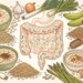 5 fontes de fibra que ajudam a prevenir o desequilíbrio da microbiota e fortalecer a imunidade intestinal