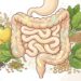 Fibra alimentar e intestino inflamado: qual a ingestão diária recomendada para restaurar o equilíbrio da microbiota?