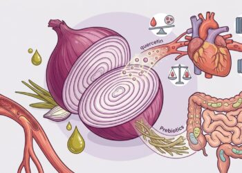 O que a cebola crua faz ao sistema cardiovascular e à microbiota intestinal