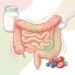 Kefir e microbiota intestinal: como essa bebida fermentada fortalece a digestão
