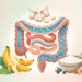 Quais nutrientes o intestino precisa para funcionar bem e onde encontrá-los no dia a dia
