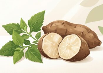 O "tubérculo simples" que alimenta as bactérias boas e melhora a digestão lenta