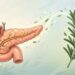 Como limpar o pâncreas naturalmente com uma planta aromática poderosa