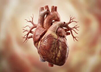 Bebidas antes de dormir: qual é a planta que auxilia a saúde do coração e ajuda a prevenir a hipertensão noturna