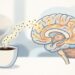 Quanto tempo leva para o café ser absorvido e seus efeitos começarem a agir no cérebro?