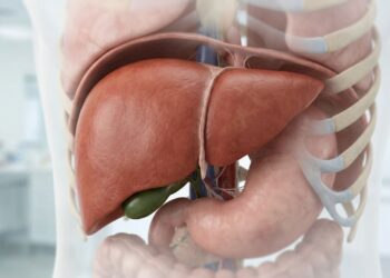 Fórmula para auxiliar na desintoxicação do fígado utilizando folhas de perilla