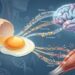 Ovo: benefícios comprovados para os músculos, o cérebro e o controle da saciedade