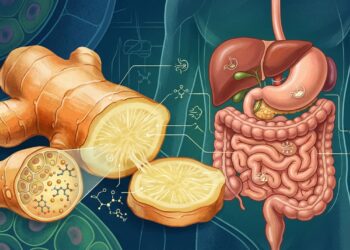Quais são as propriedades curativas de beber chá de gengibre em jejum?